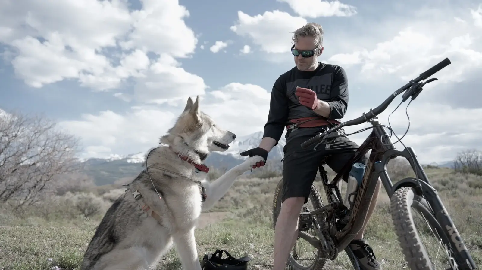 As Wolves Return production still